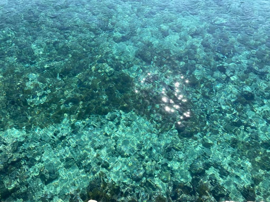فيلا A Quai A Chiara أندرانو المظهر الخارجي الصورة